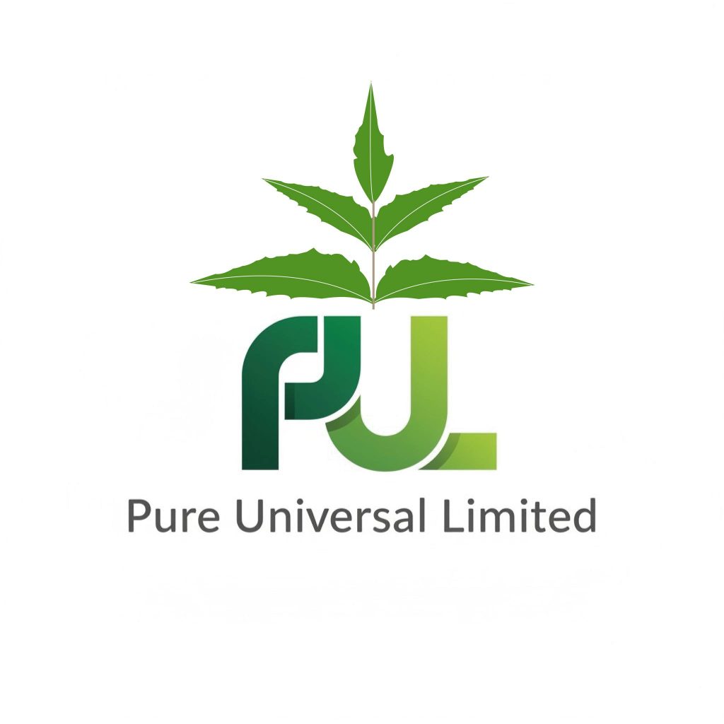 548060536_1331089615688781_875578691042823039_n